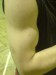Jindra (Borec) biceps